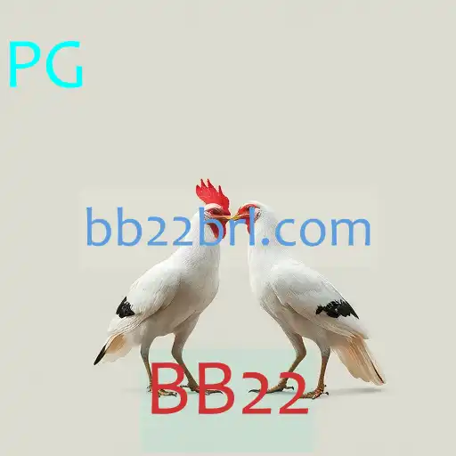 Rinha de Galos e o Impacto do BB22 no Brasil